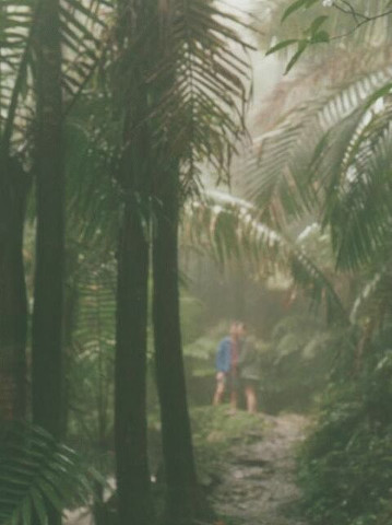 Hiking Trail on Rainy Day at El Yunque